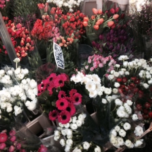 literally the only photo i took at the columbia road flower market